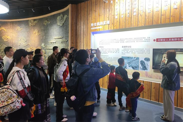 图片2.png