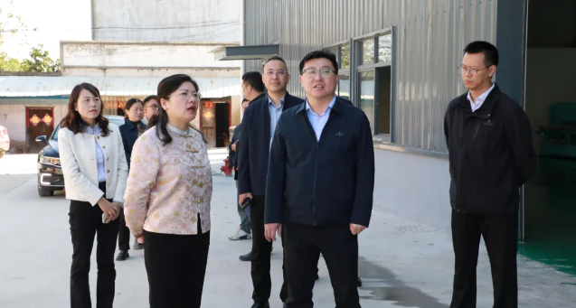  仪征市新集镇：胡彩云来镇指导基层党组织建设工作