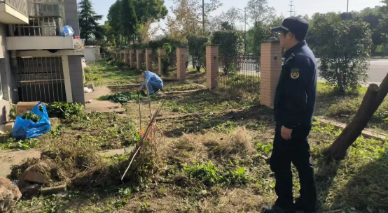 仪征城管：“执法”进社区 “毁绿”不可取