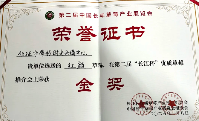 仪征枣林湾草莓荣获“长江杯”优质草莓金奖