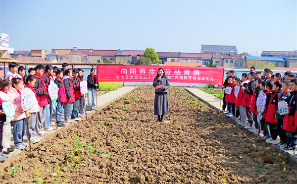 青苗破土启新绿 劳动教育润童心——盱眙县维桥中心小学“向阳娃”种植园春