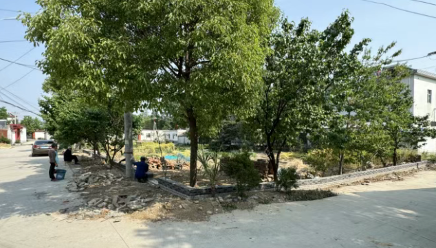仪征市刘集镇联营村：整治庄台环境 提升乡村“颜值”