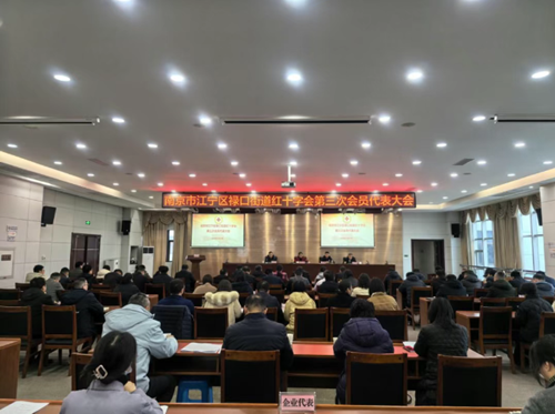 禄口街道红十字会召开第三次会员代表大会