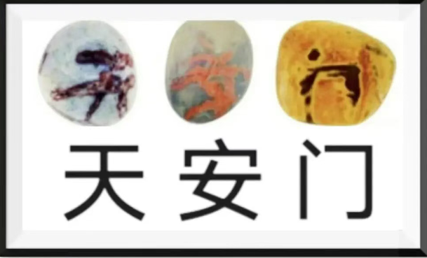 11.png
