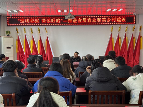 “理”响马坝，共绘和美乡村新画卷