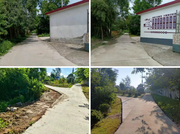 仪征市真州镇三八村：环境整治焕新景 乡村蝶变展新姿