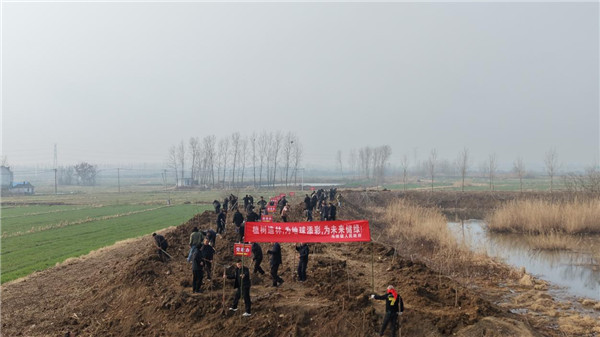 春染马坝 “植”此青绿——盱眙县马坝镇开展2026年度春季绿化植树造林