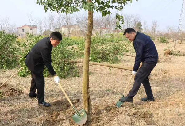 仪征市刘集镇：植树又添新绿 共建美好家园