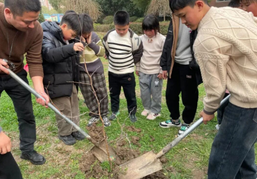 春光无限好 来仪正当时