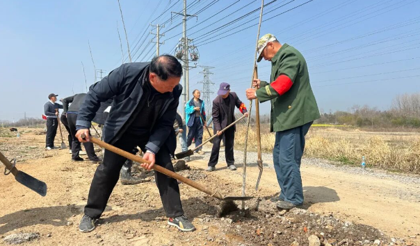 仪征市真州镇茶蓬村：党群同心 共建绿色家园