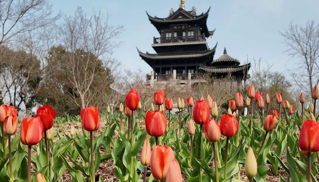 108公里赛道——仪征最精华的风景线