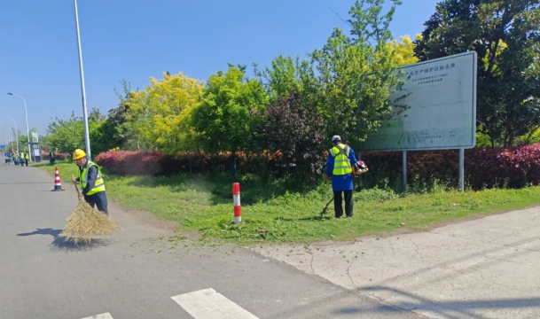 仪征市新城镇：整治齐发力 乡村展新颜