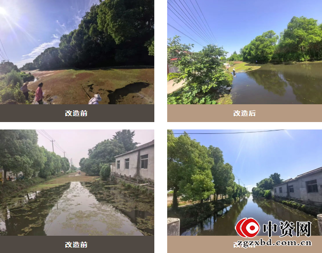 仪征市新集镇八桥村:织密防汛网 筑牢安全堤